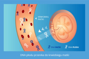 test na ojcostwo w ciąży, testy na o ojcostwo w ciąży, test DNA na ojcostwo w ciąży, testy DNA na ojcostwo w ciąży, badanie DNA na ojcostwo w ciąży, badania DNA na ojcostwo w ciąży, badanie na ojcostwo w ciąży, badania na ojcostwo w ciąży, sprawdzenie ojcostwa w ciąży, test na ojcostwo przed porodem, testy na ojcostwo przed porodem, test na ojcostwo w czasie ciąży, testy na ojcostwo w czasie ciąży, test na ojcostwo w ciąży cena, testy na ojcostwo w ciąży cena, ile kosztuje test na ojcostwo w ciąży, ustalenie ojcostwa w ciąży, badanie ojcostwa w ciąży, badania ojcostwa w ciąży, test ojcostwa w ciąży, testy ojcostwa w ciąży